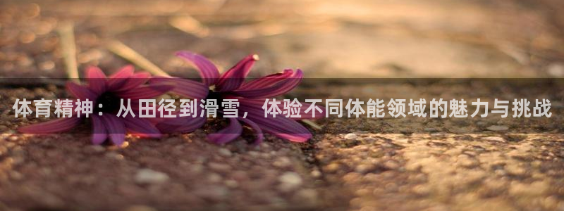 yy易游官网下载平台是正规平台吗安全吗：体育精神：从