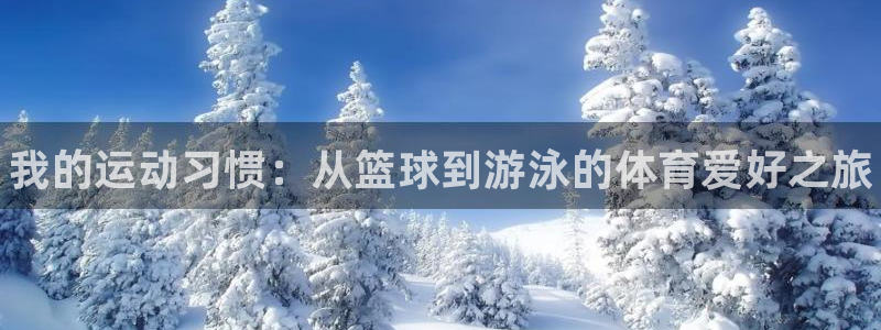 yy易游官方正版app娱乐平台：我的运动习惯：从篮球