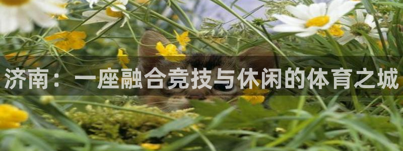 yy易游官网下载平台：济南：一座融合竞技与休闲的体育