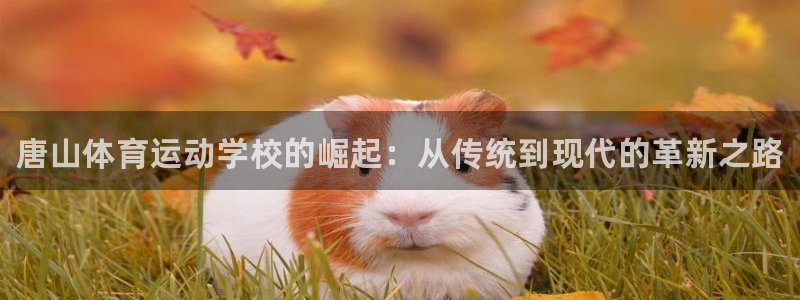 yy易游官方正版app科技：唐山体育运动学校的崛起：