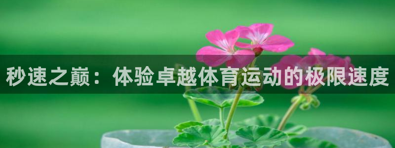 yy易游官网下载平台注册要钱吗：秒速之巅：体验卓越体