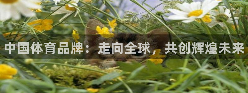 yy易游官方正版app娱乐40996：中国体育品牌：走向全球