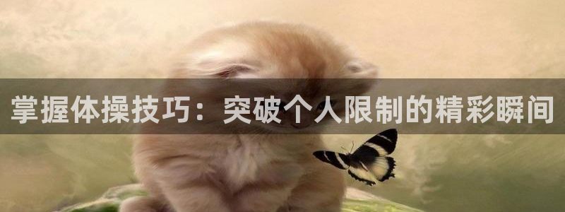 yy易游官网下载平台是正规平台吗知乎：掌握体操技巧：