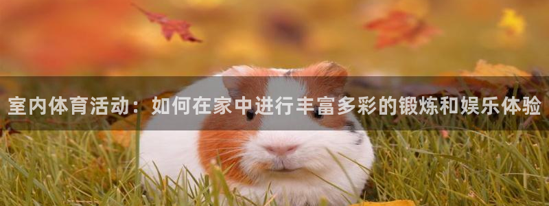 yy易游官网下载平台注册：室内体育活动：如何在家中进
