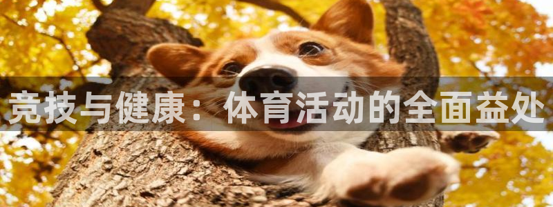 yy易游官方正版app官网：竞技与健康：体育活动的全