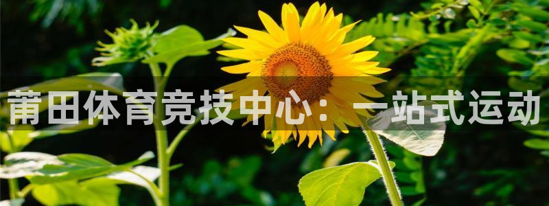 yy易游官网下载开户：莆田体育竞技中心：一站式运动