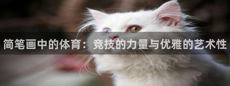yy易游官方正版app娱乐代理怎么样：简笔画中的体育