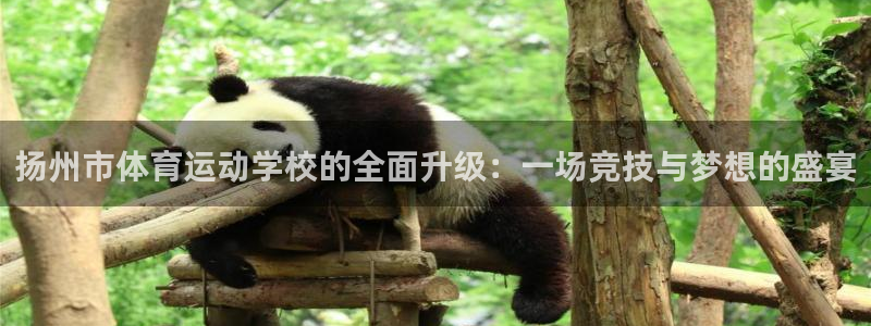 yy易游官网下载平台注册流程图：扬州市体育运动学校的