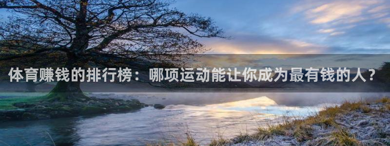 yy易游官网下载联系电话：体育赚钱的排行榜：哪项运动能让你成