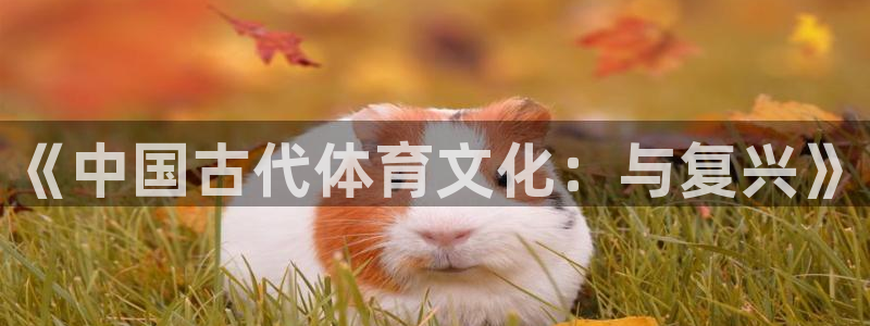 yy易游官方正版app娱乐下载：《中国古代体育文化：