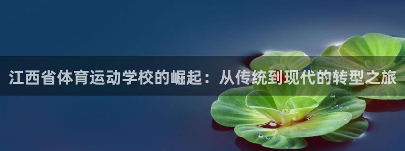 yy易游官网下载招商：江西省体育运动学校的崛起：从传