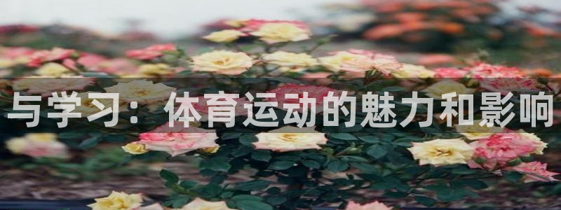 yy易游官网下载招商电话号码查询是多少：与学习：体育运动的魅