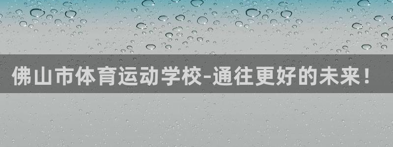 yy易游官方正版app新能源：佛山市体育运动学校-通往更好的