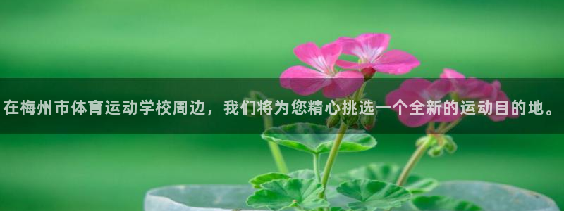 德国yy易游官方正版app集团：在梅州市体育运动学校周边，我