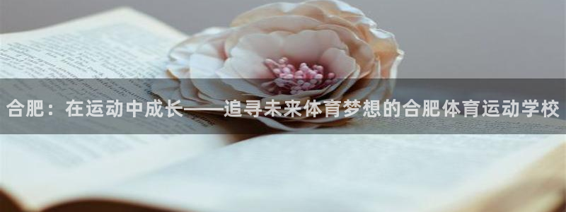 yy易游官网下载联系电话