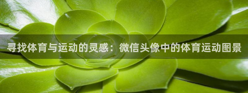 yy易游官方正版app娱乐首页网站大全