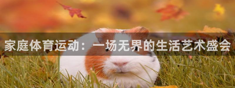 yy易游官网下载官方客服电话:家庭体育运动:一场无界的生活艺