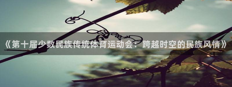 yy易游官方正版app集团官网网址:《第十届少数民族传统体育