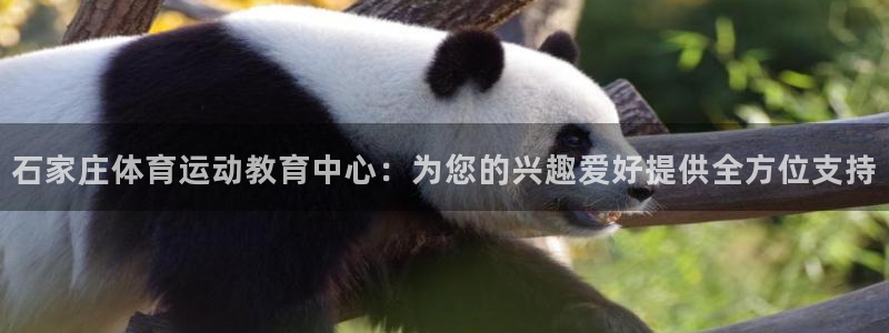 yy易游官方正版app集团logo