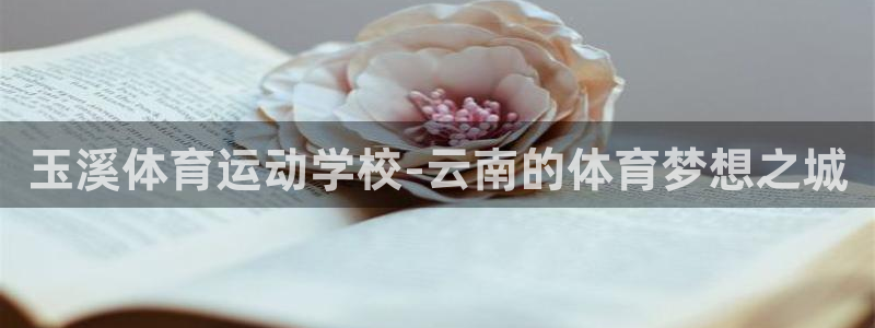 yy易游官方正版app娱乐平台