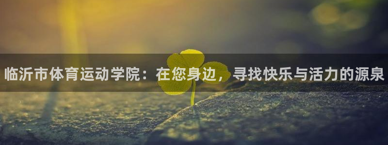 yy易游官方正版app集团简介