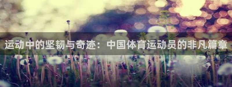 yy易游官网下载招商电话号码是多少号