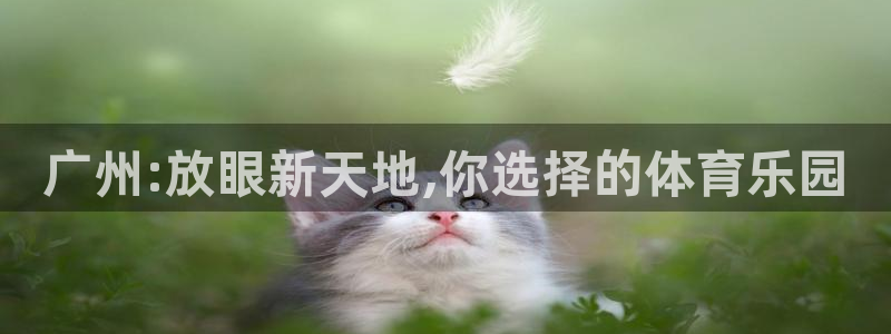 yy易游官网下载平台APP