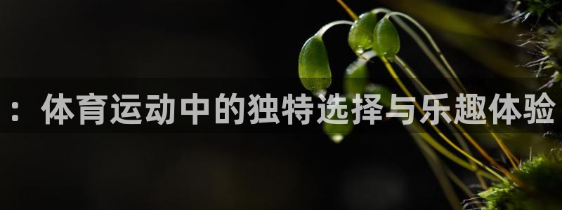 yy易游官方正版app娱乐网站